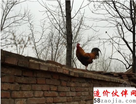從遠(yuǎn)處拍攝的農(nóng)村房