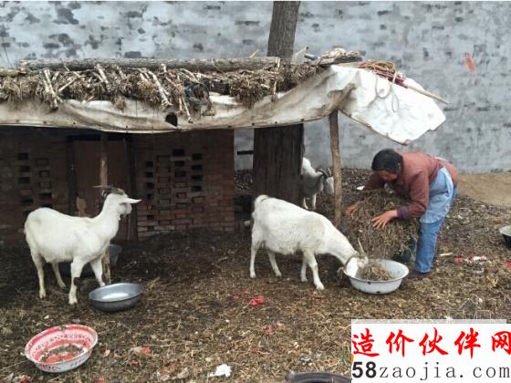 從遠(yuǎn)處拍攝的農(nóng)村房