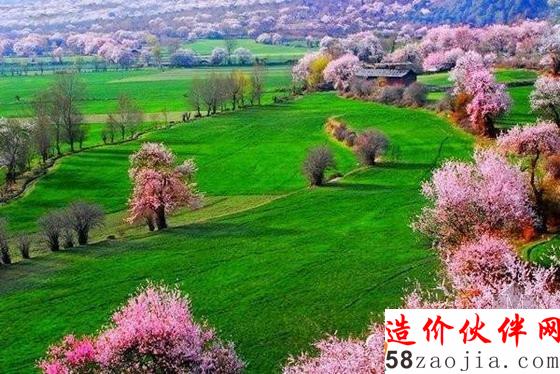 西藏林芝“桃花溝”