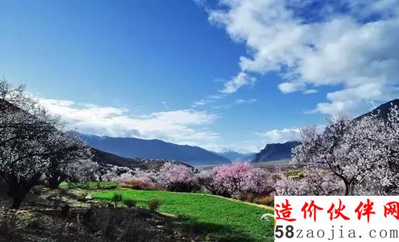 西藏林芝“桃花溝”