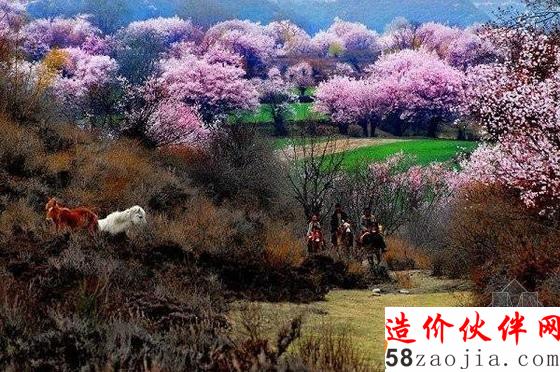 西藏林芝“桃花溝”