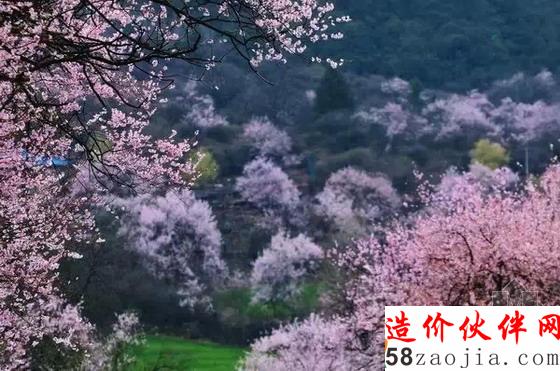 西藏林芝“桃花溝”