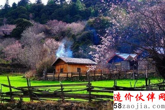 西藏林芝“桃花溝”