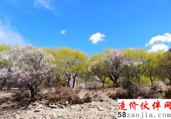 西藏林芝“桃花溝”