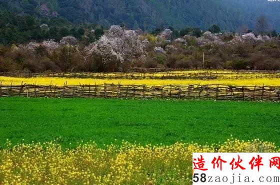 西藏林芝“桃花溝”