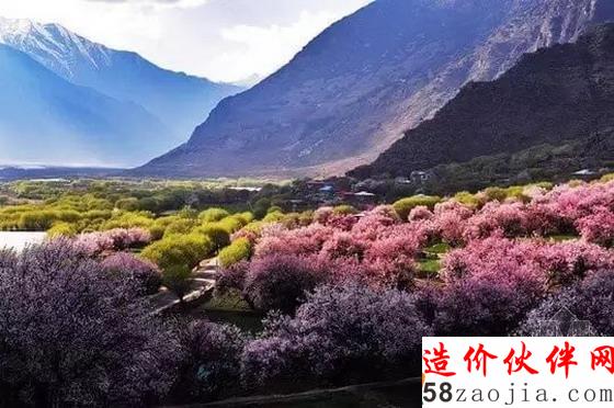 西藏林芝“桃花溝”