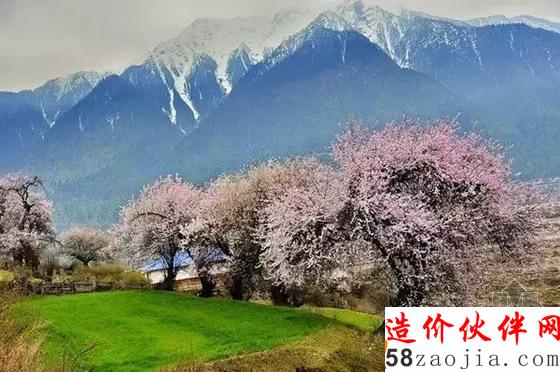 西藏林芝“桃花溝”