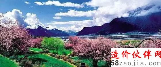 西藏林芝“桃花溝”