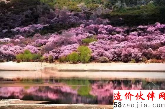 西藏林芝“桃花溝”