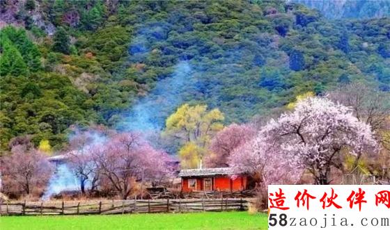 西藏林芝“桃花溝”
