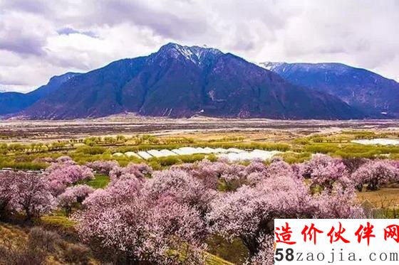 西藏林芝“桃花溝”