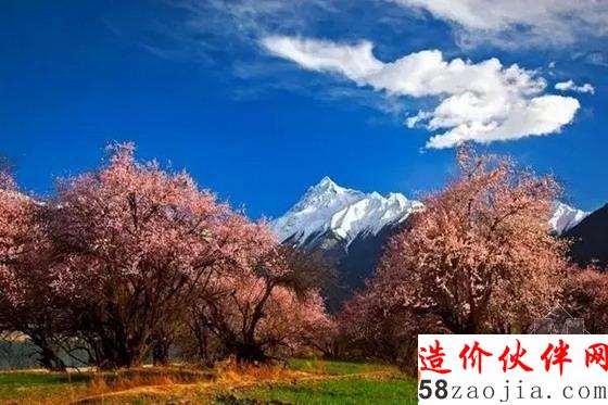 西藏林芝“桃花溝”