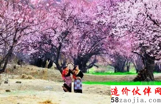 西藏林芝“桃花溝”