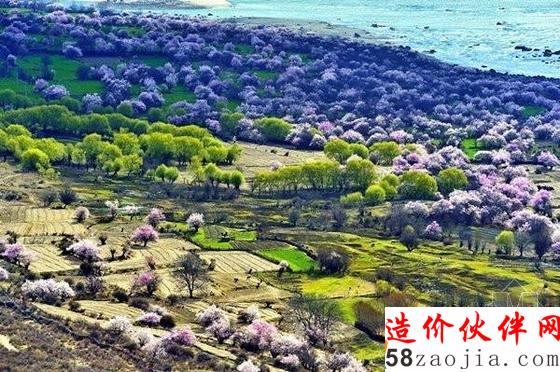 西藏林芝“桃花溝”