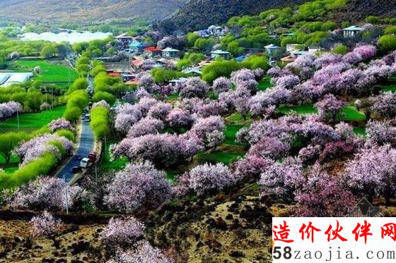 西藏林芝“桃花溝”