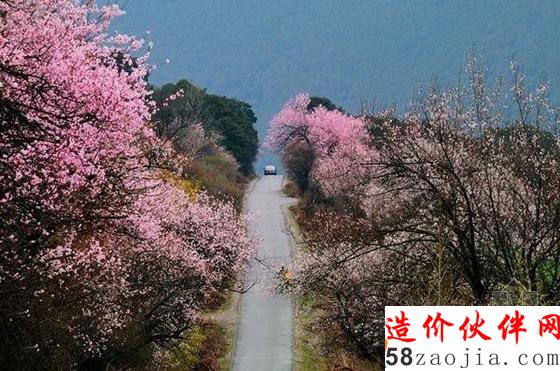西藏林芝“桃花溝”