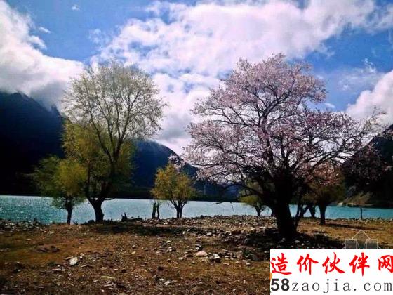 西藏林芝“桃花溝”