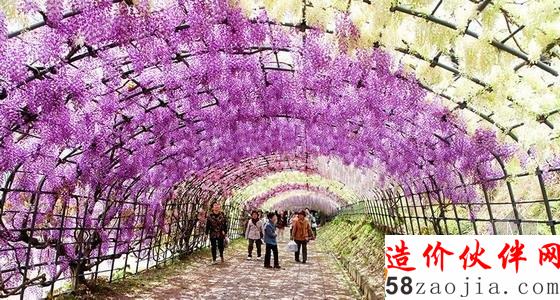 河內(nèi)藤園紫藤隧道