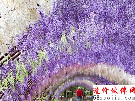 河內(nèi)藤園紫藤隧道