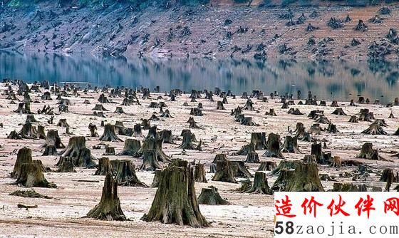 美國俄勒岡威拉米特國家森林公園,為了修建水渠,大批原始林木被砍伐