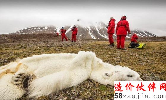 挪威斯瓦爾巴特群島的西方峽灣通常在冬天凍結,現(xiàn)在一年四季都不結冰
