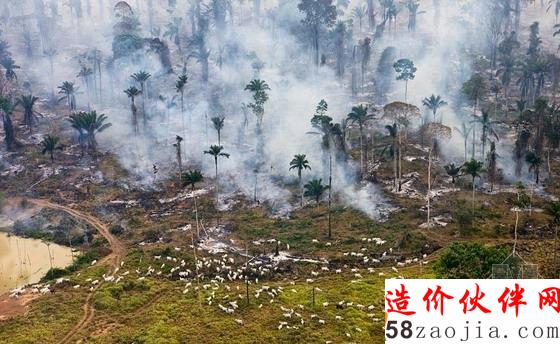 人類與自然的交鋒面:在燃燒著的巴西亞馬遜原始森林里