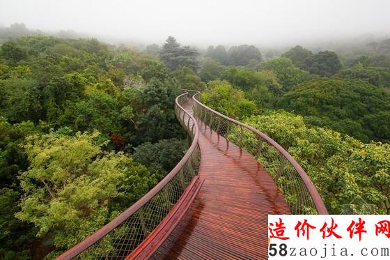 非洲蛇樹橋,馬克托馬斯建筑事務所,位于南非開普敦