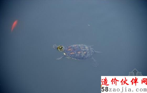 臺中秋紅谷生態(tài)公園