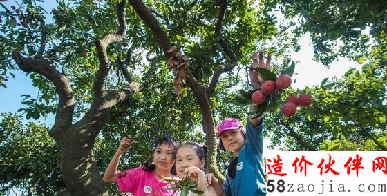無人機(jī)航拍廣東海珠國(guó)家濕地公園