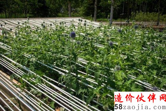 2015年美國(guó)第16屆國(guó)際花園節(jié)花園設(shè)計(jì)