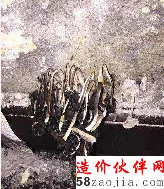 墻體長蘑菇