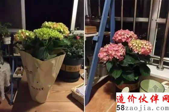 90后偽文青64平方的小家 看女漢子性感改造!