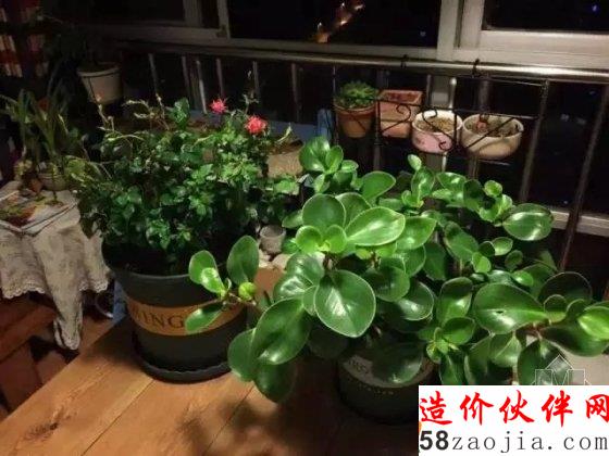 90后偽文青64平方的小家 看女漢子性感改造!