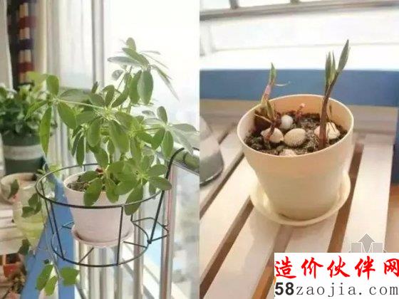 90后偽文青64平方的小家 看女漢子性感改造!