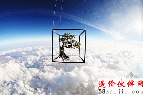 美國達拉斯藝術(shù)館一棵盆栽的10年“游歷”
