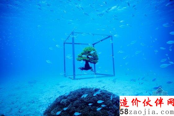 美國達拉斯藝術(shù)館一棵盆栽的10年“游歷”