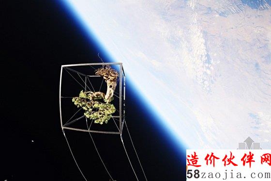 美國達拉斯藝術(shù)館一棵盆栽的10年“游歷”