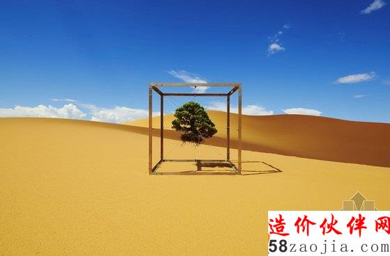 美國達拉斯藝術(shù)館一棵盆栽的10年“游歷”