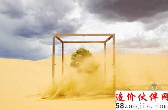 美國達拉斯藝術(shù)館一棵盆栽的10年“游歷”