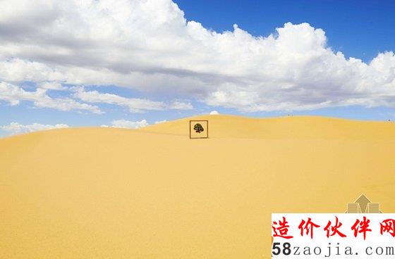 美國達拉斯藝術(shù)館一棵盆栽的10年“游歷”