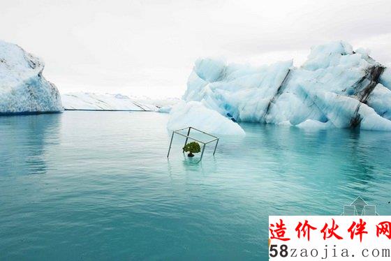 美國達拉斯藝術(shù)館一棵盆栽的10年“游歷”