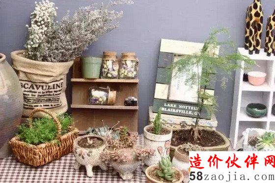 網(wǎng)購狂人3500元把出租房變成后花園:生活不是租來的!