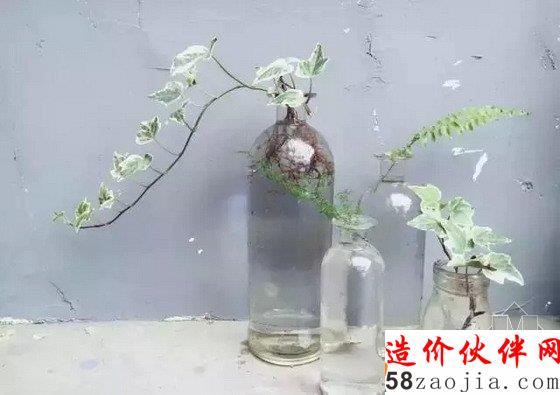 網(wǎng)購狂人3500元把出租房變成后花園:生活不是租來的!