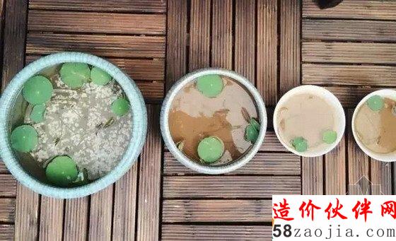 網(wǎng)購狂人3500元把出租房變成后花園:生活不是租來的!