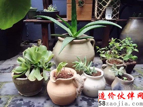 網(wǎng)購狂人3500元把出租房變成后花園:生活不是租來的!