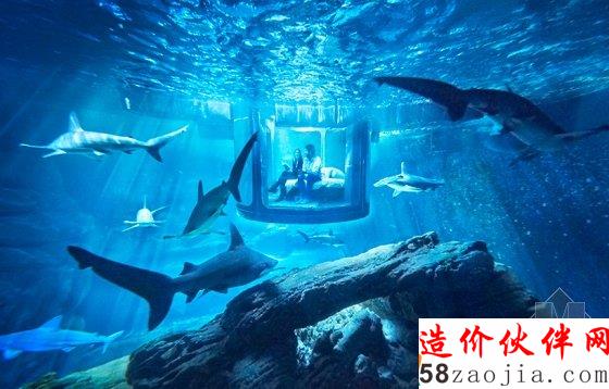 360度全透明水下居所 與鯊魚同居一晚是怎樣的體驗?