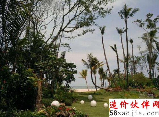 碧桂園森林城市
