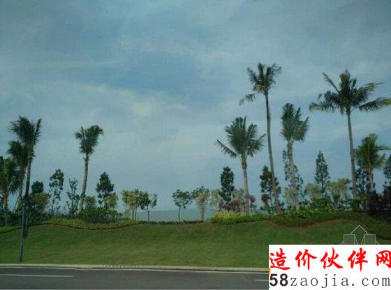 碧桂園森林城市