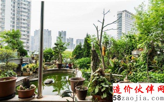 7旬老人8年打造700平米“空中花園”