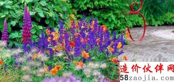 英國(guó)切爾西花展正當(dāng)紅 夏洛特公主菊展出